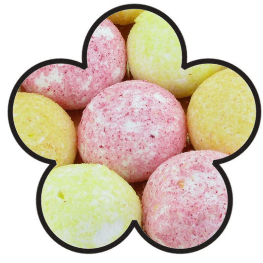 ZIP-ZAP Boules Coco (à l'unité)
