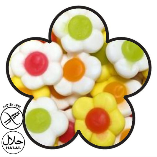 Jake Marguerites Daisies